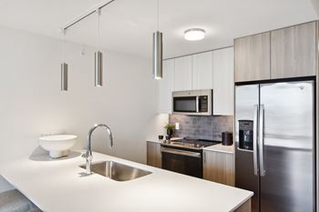 Luxury stainless steel kitchen appliances